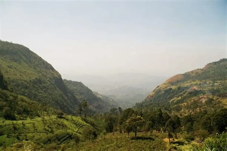 Airport → Haputale