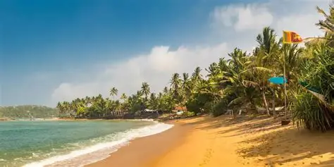 Belihuloya – Negombo