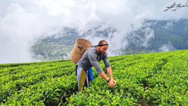 Ceylon Tea & Highland Heritage