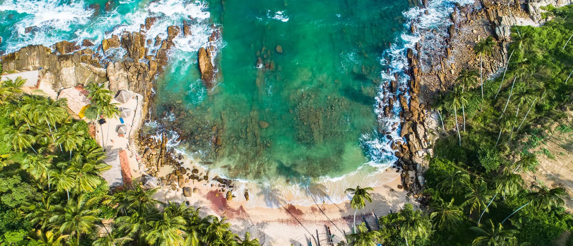 Southern Shores & Wild Wonders